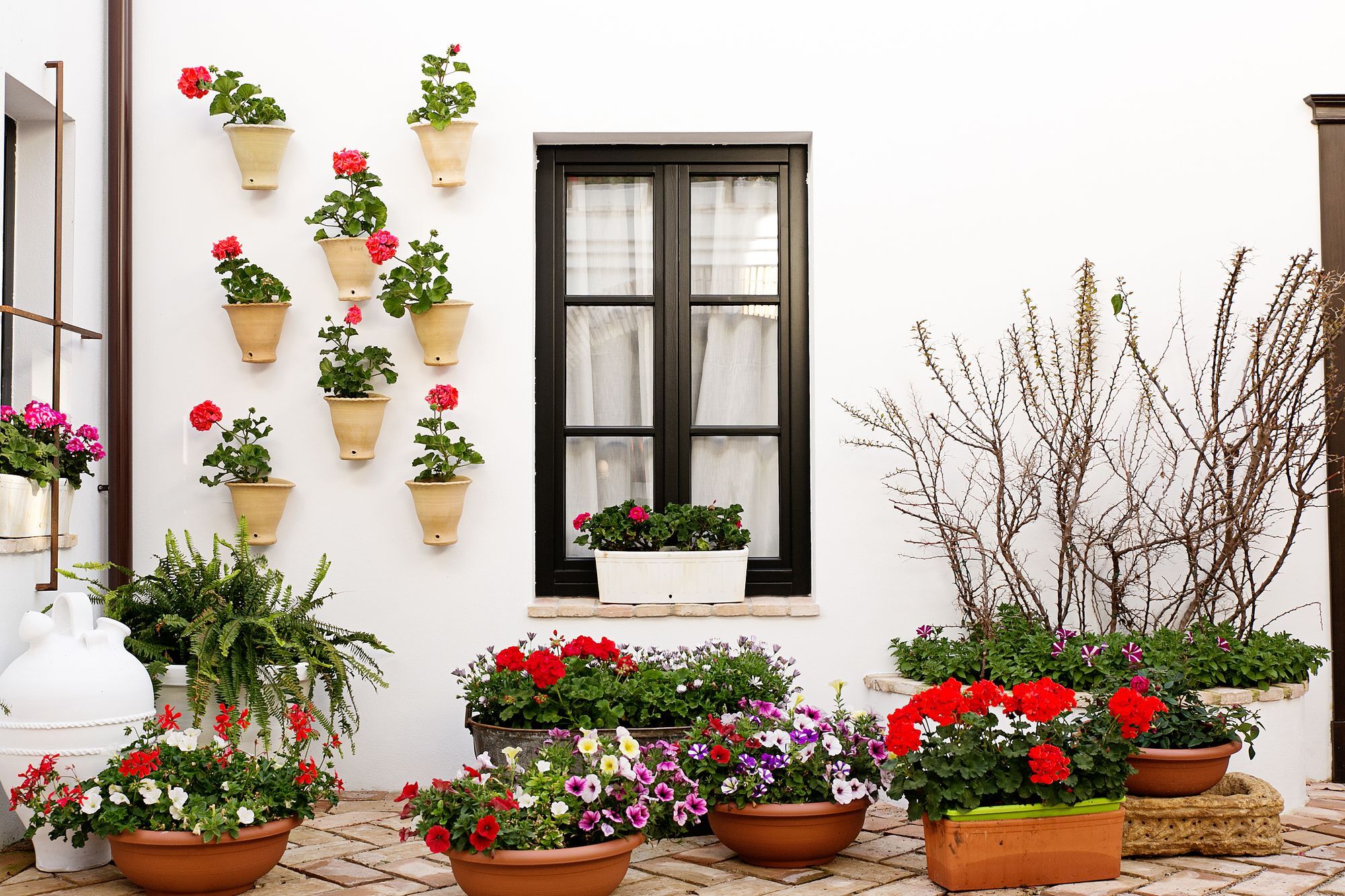 Suites La Posada De Pilar Cordoba Ngoại thất bức ảnh